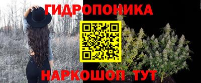 молекула духа Будённовск