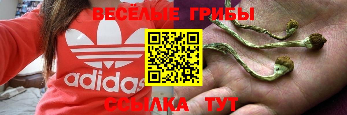 Псилоцибиновые грибы прущие грибы Старая Купавна